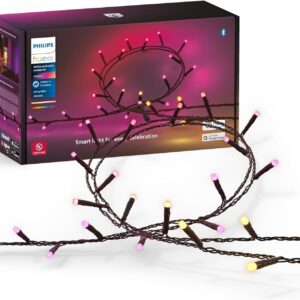 Philips Hue Indoor and Outdoor Festavia String Lights, 20M